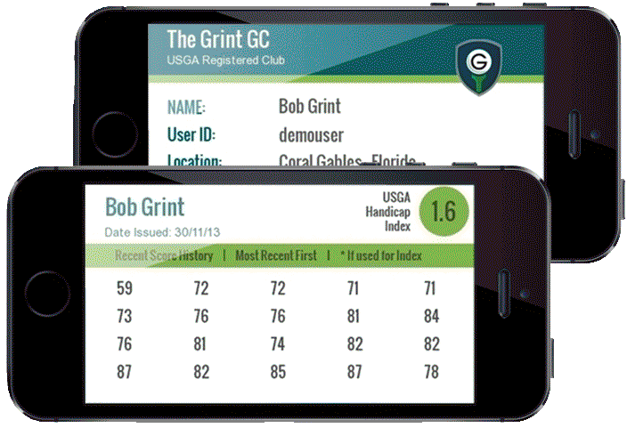 Image result for TheGrint